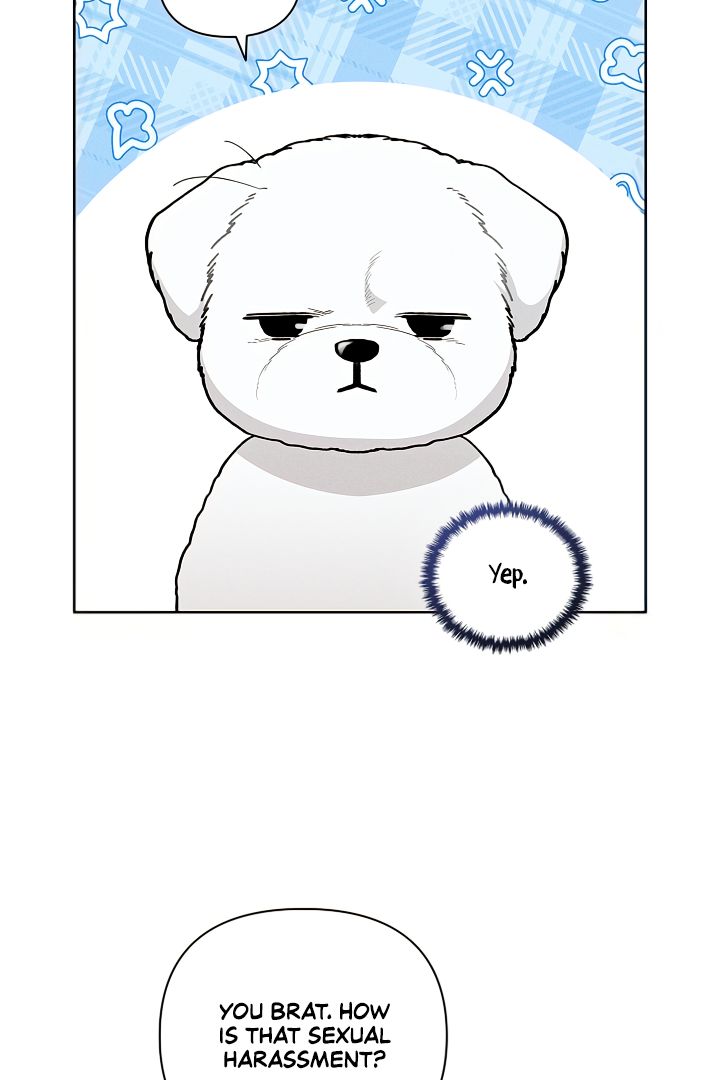 Read Don’t Mess With the Pooch! chapter 2 image 4 on Lezhin