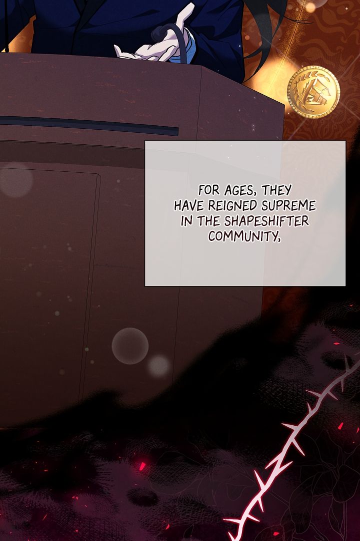 Read Don’t Mess With the Pooch! chapter 2 image 63 on Lezhin