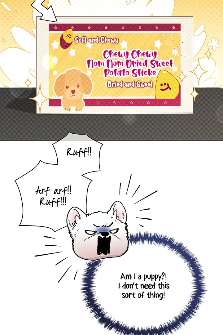 Read Don’t Mess With the Pooch! chapter 2 image 8 on Lezhin