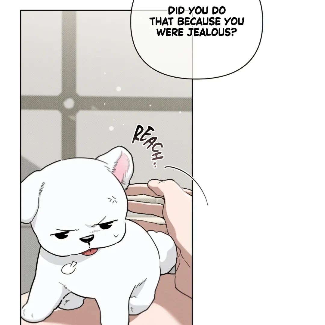 Read Don’t Mess With the Pooch! chapter 21 image 126 on Lezhin