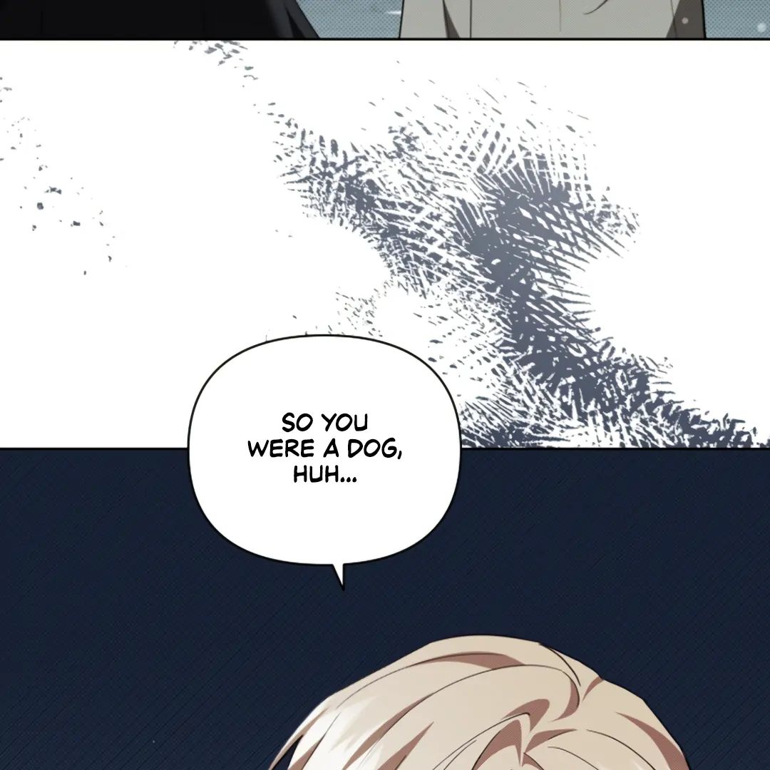 Read Don’t Mess With the Pooch! chapter 21 image 13 on Lezhin
