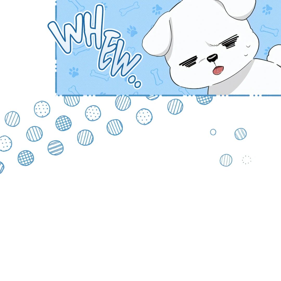 Read Don’t Mess With the Pooch! chapter 21 image 96 on Lezhin