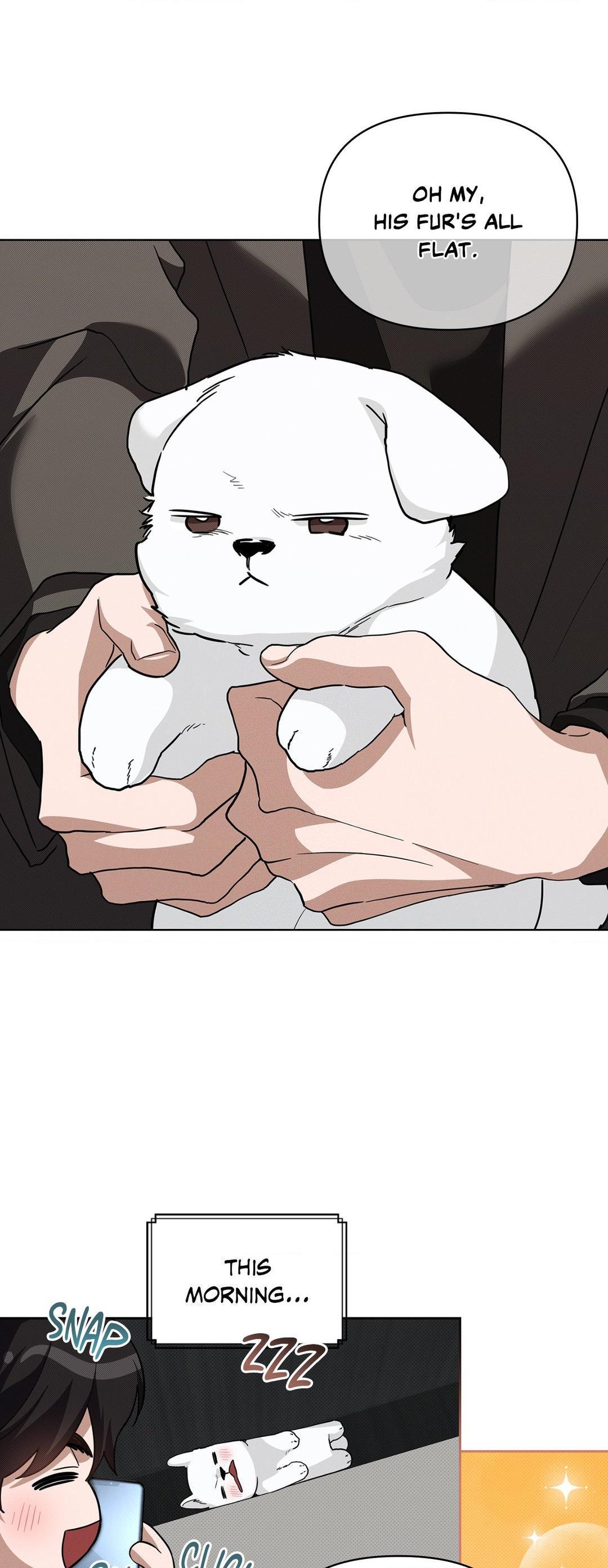 Read Don’t Mess With the Pooch! chapter 28.1 image 23 on Lezhin