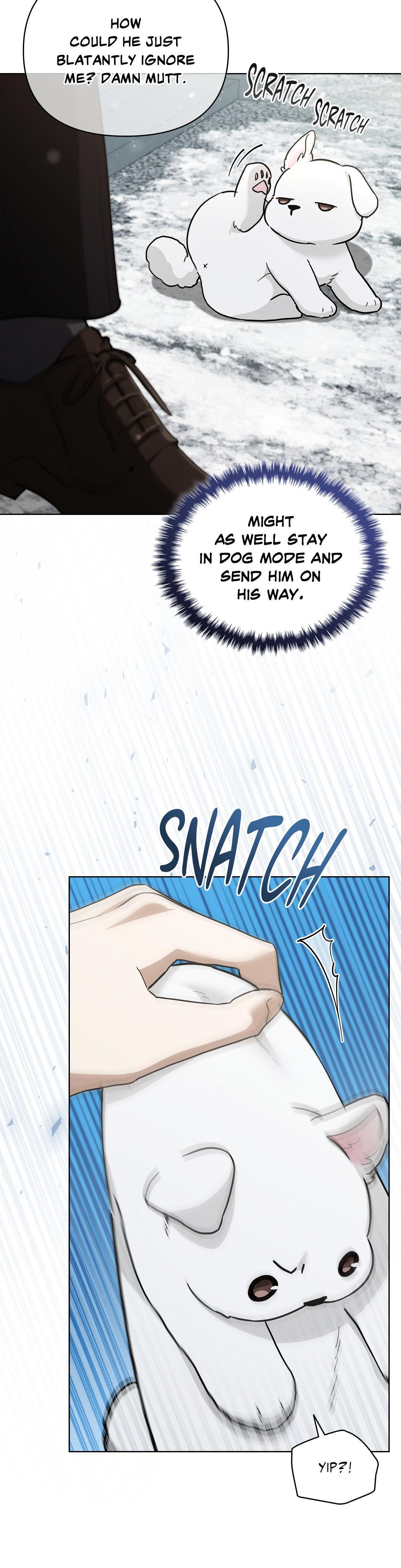Read Don’t Mess With the Pooch! chapter 29.8 image 6 on Lezhin