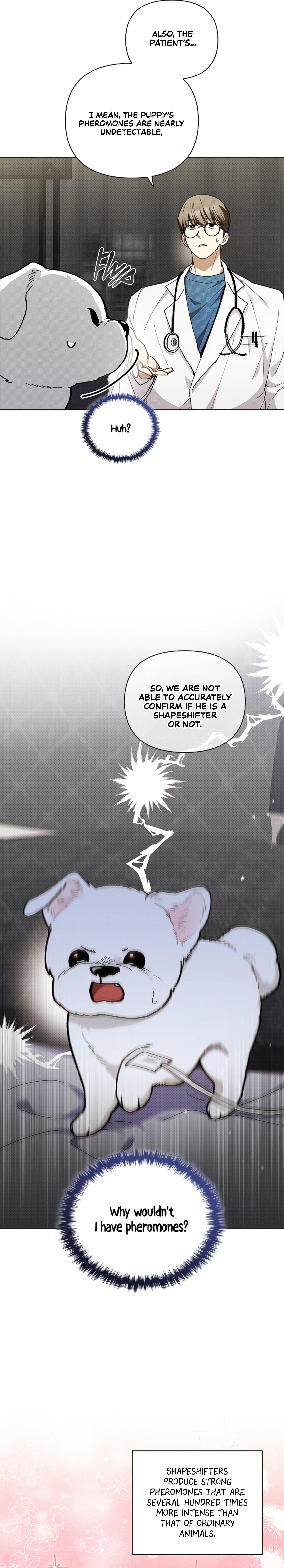 Read Don’t Mess With the Pooch! chapter 32.1 image 3 on Lezhin