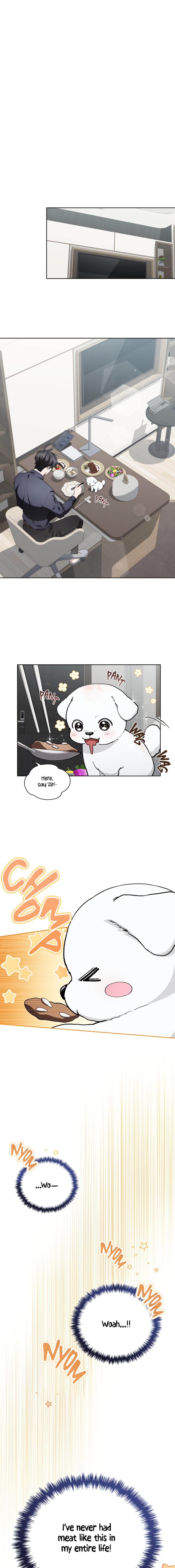 Read Don’t Mess With the Pooch! chapter 32.9 image 11 on Lezhin