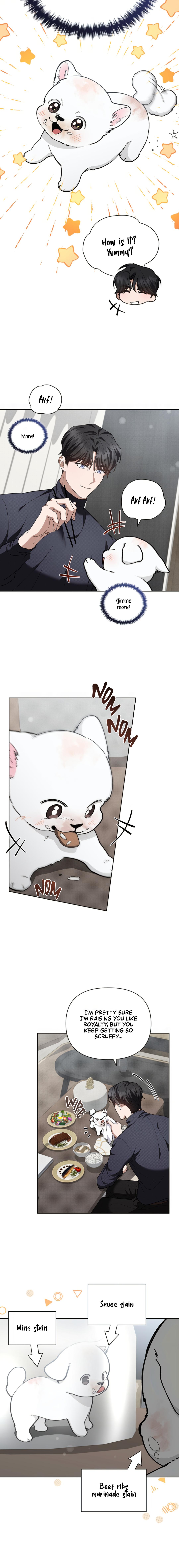 Read Don’t Mess With the Pooch! chapter 32.9 image 12 on Lezhin