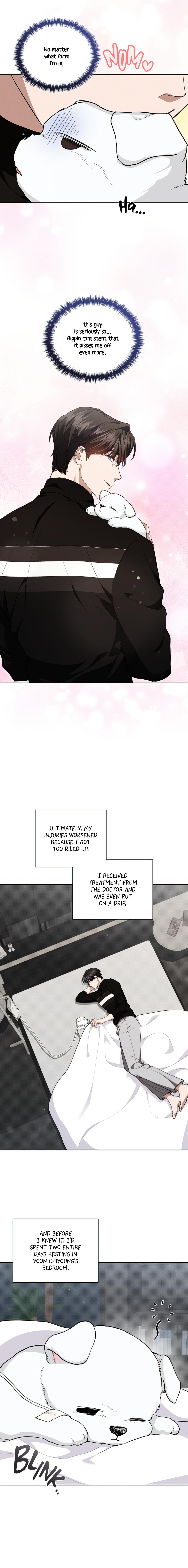 Read Don’t Mess With the Pooch! chapter 33.4 image 10 on Lezhin
