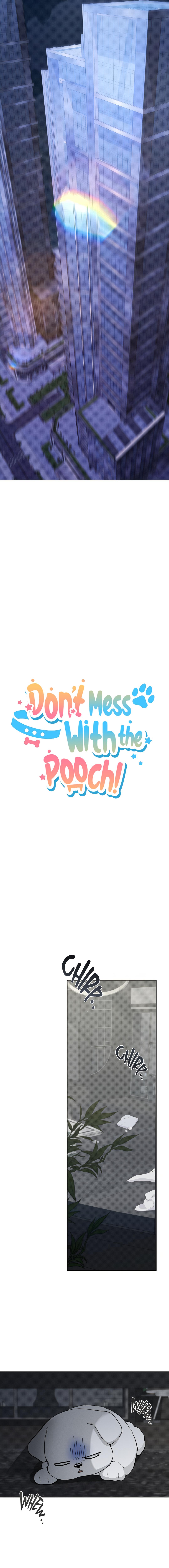 Read Don’t Mess With the Pooch! chapter 33.7 image 10 on Lezhin