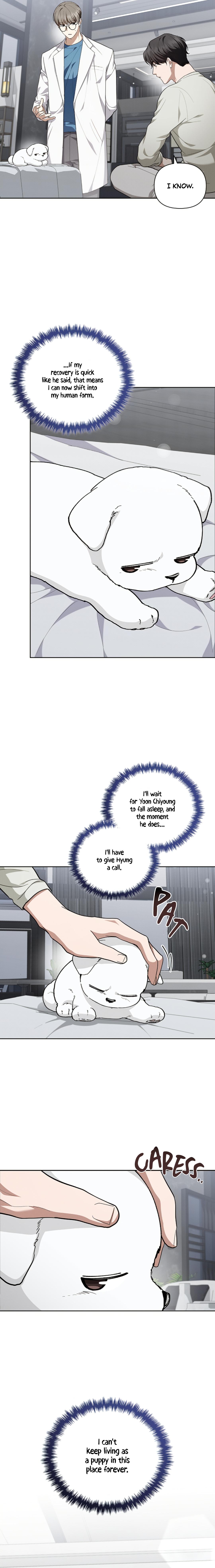 Read Don’t Mess With the Pooch! chapter 33 image 14 on Lezhin