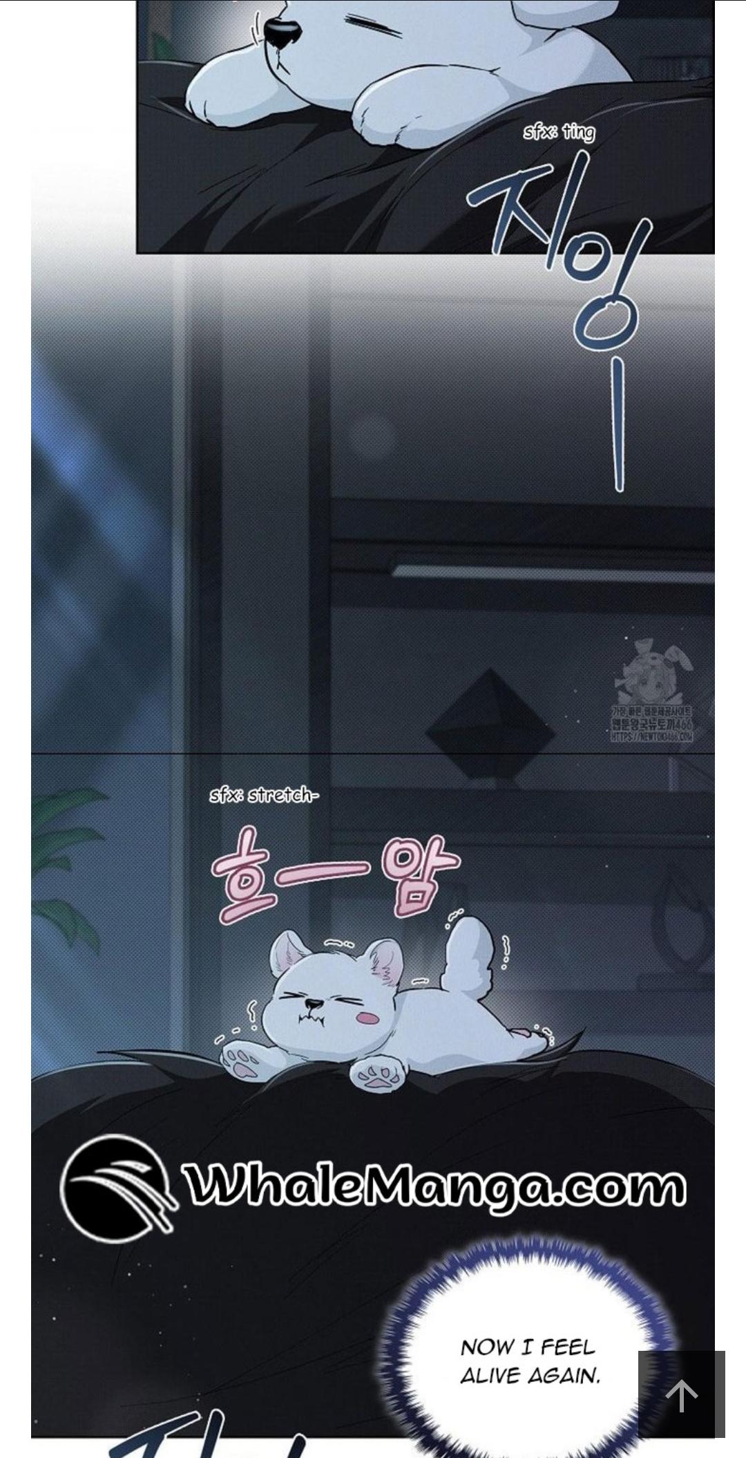 Read Don’t Mess With the Pooch! chapter 34.5 image 19 on Lezhin
