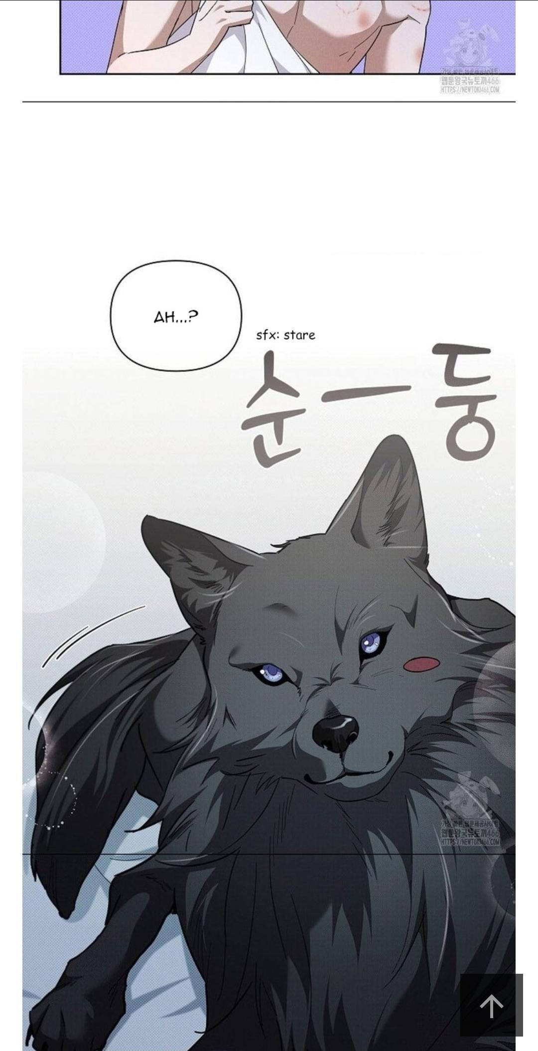 Read Don’t Mess With the Pooch! chapter 34.5 image 27 on Lezhin