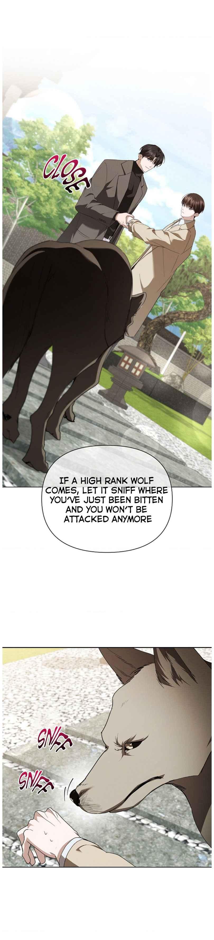 Read Don’t Mess With the Pooch! chapter 34.7 image 4 on Lezhin