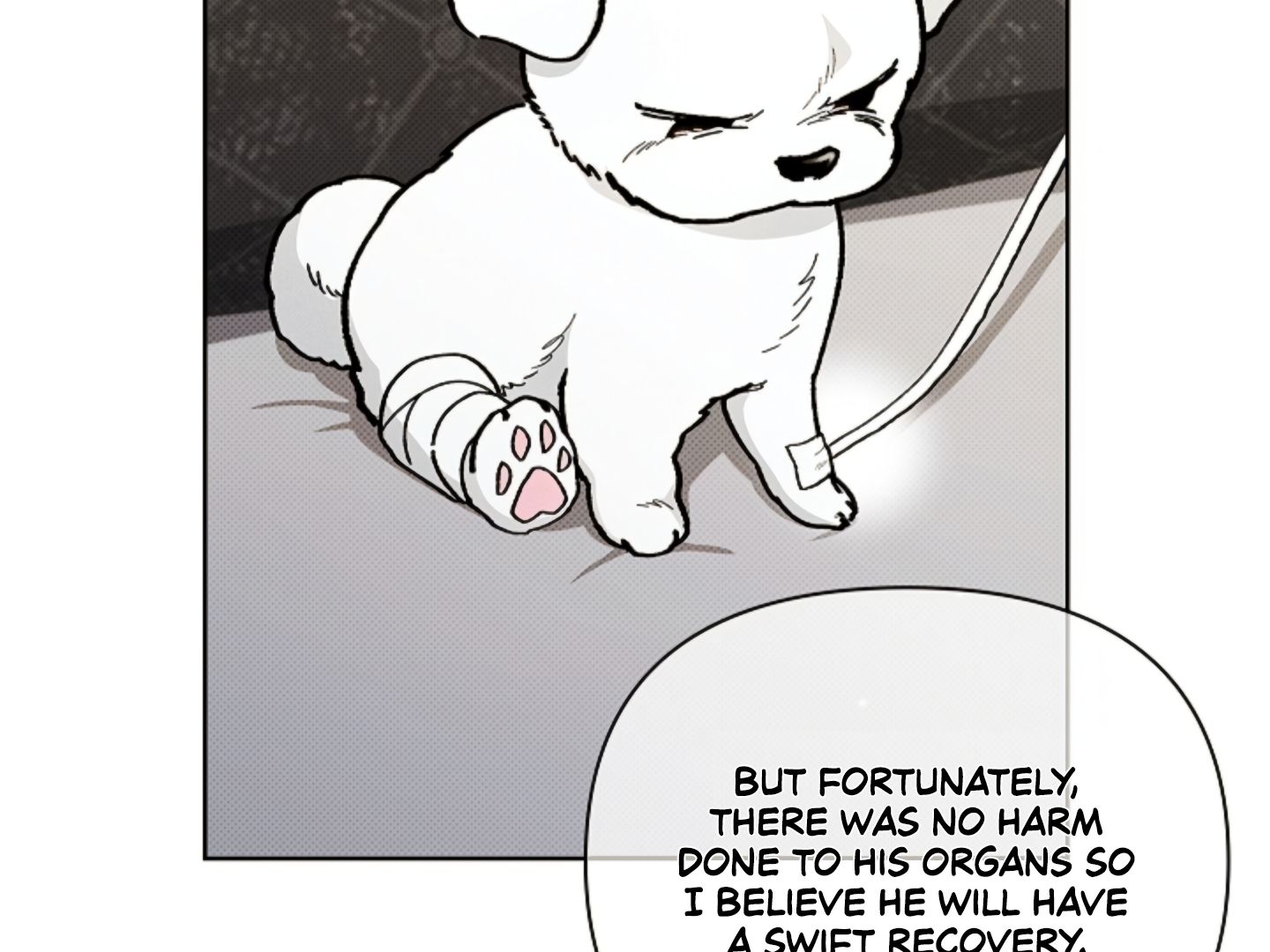 Read Don’t Mess With the Pooch! chapter 4 image 6 on Lezhin