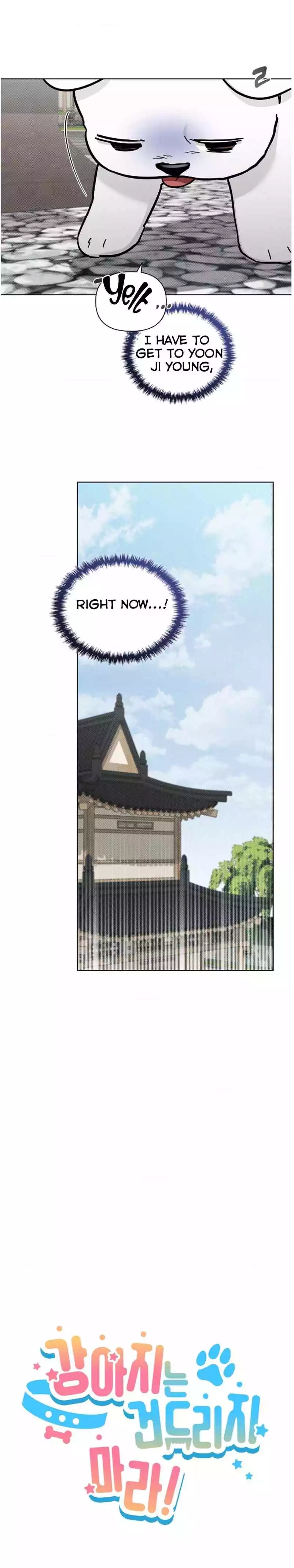 Read Don’t Mess With the Pooch! chapter 40 image 3 on Lezhin