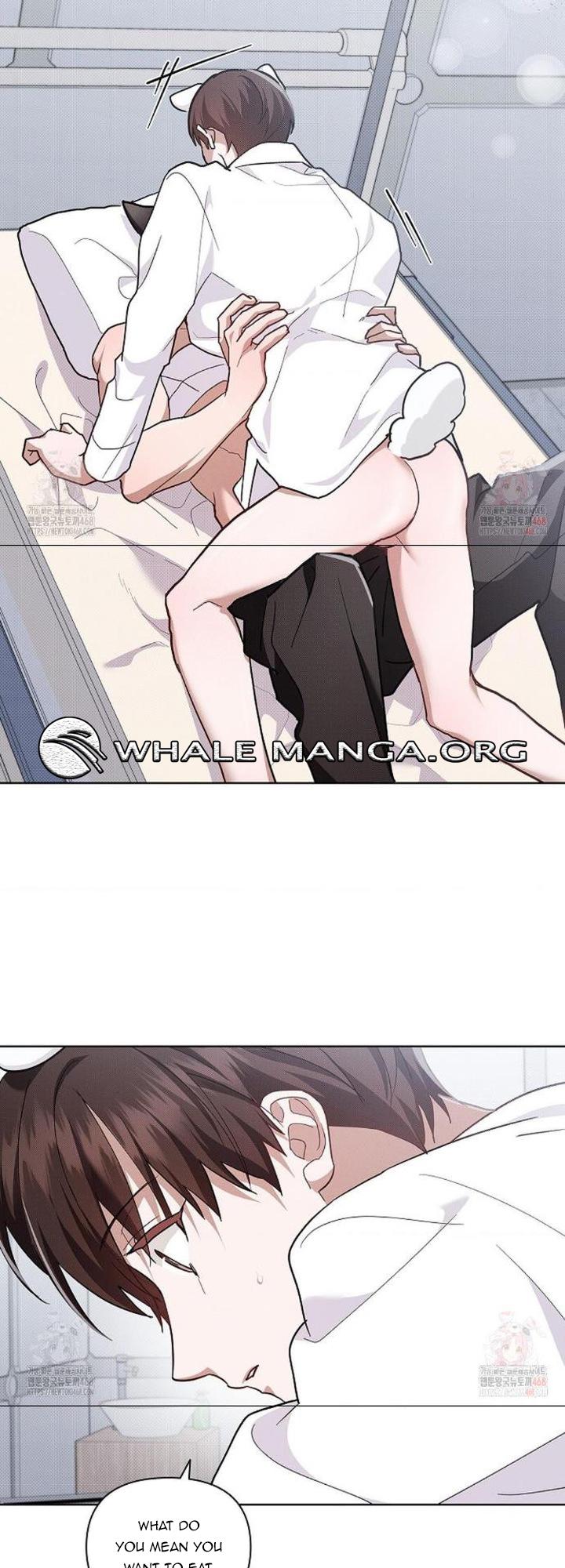 Read Don’t Mess With the Pooch! chapter 41 image 2 on Lezhin