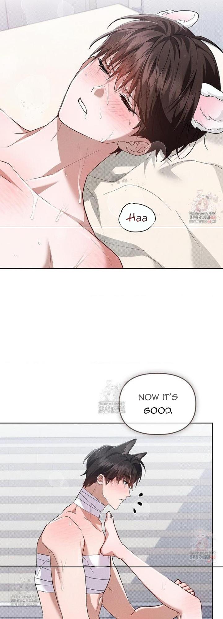 Read Don’t Mess With the Pooch! chapter 41 image 41 on Lezhin