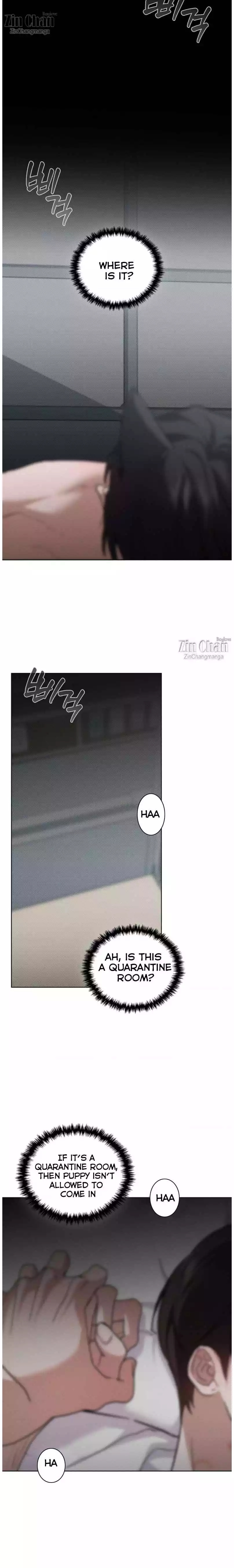 Read Don’t Mess With the Pooch! chapter 42 image 23 on Lezhin