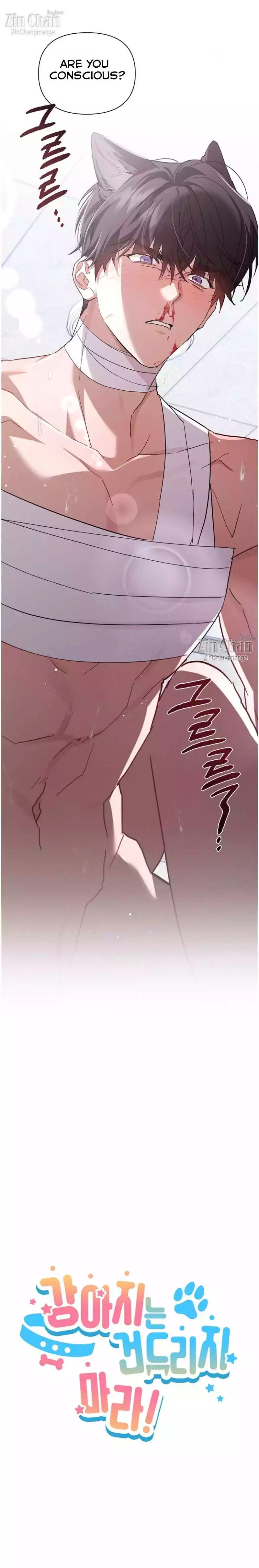 Read Don’t Mess With the Pooch! chapter 42 image 4 on Lezhin