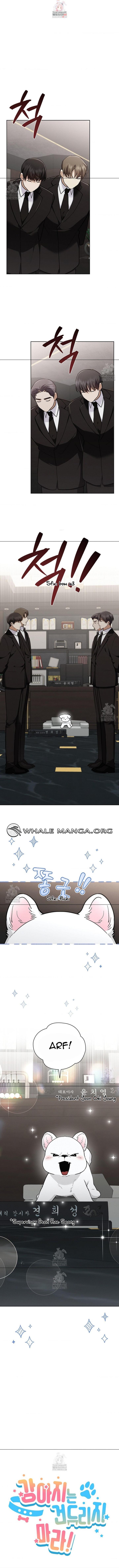 Read Don’t Mess With the Pooch! chapter 44.1 image 1 on Lezhin