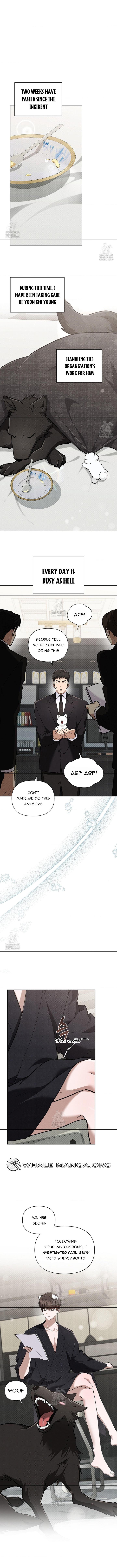 Read Don’t Mess With the Pooch! chapter 44.1 image 2 on Lezhin