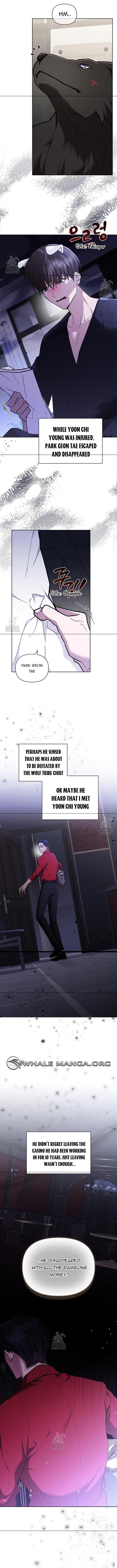 Read Don’t Mess With the Pooch! chapter 44.1 image 3 on Lezhin
