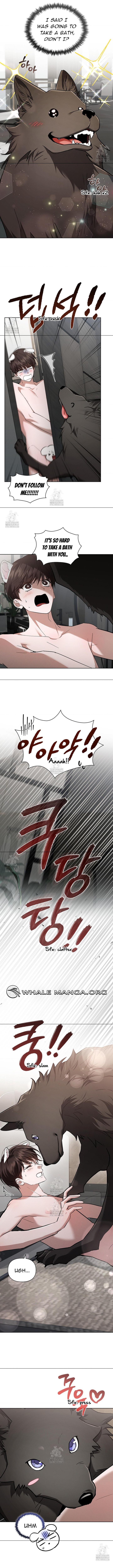 Read Don’t Mess With the Pooch! chapter 44.1 image 7 on Lezhin