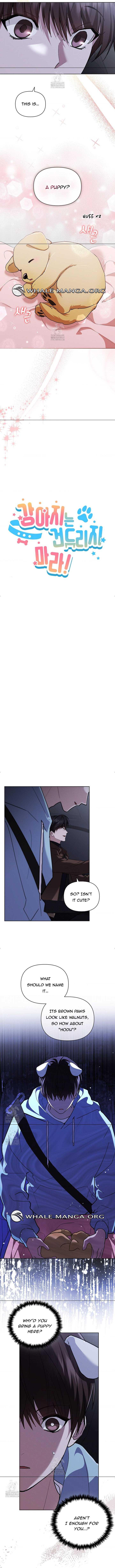 Read Don’t Mess With the Pooch! chapter 44.2 image 4 on Lezhin
