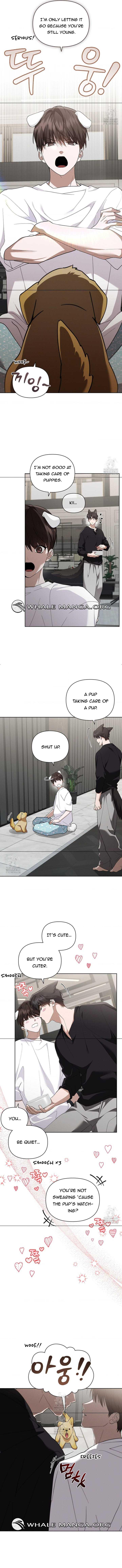 Read Don’t Mess With the Pooch! chapter 44.2 image 8 on Lezhin