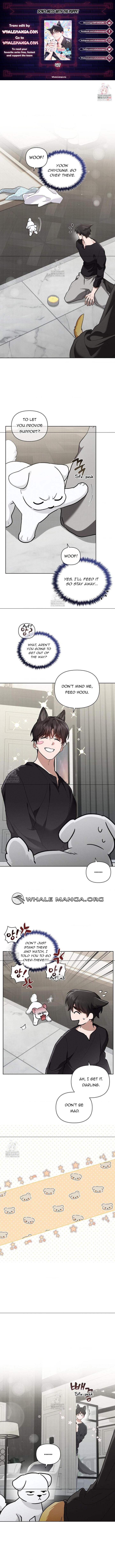 Read Don’t Mess With the Pooch! chapter 44.3 image 1 on Lezhin