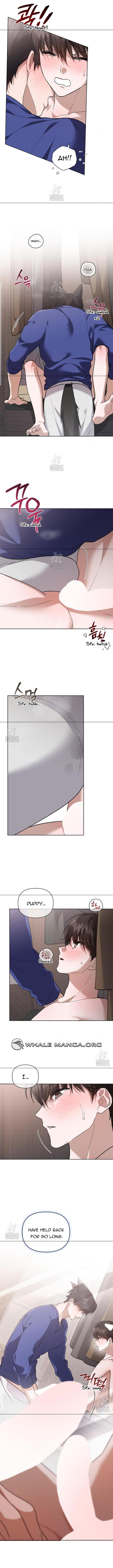 Read Don’t Mess With the Pooch! chapter 44.3 image 10 on Lezhin