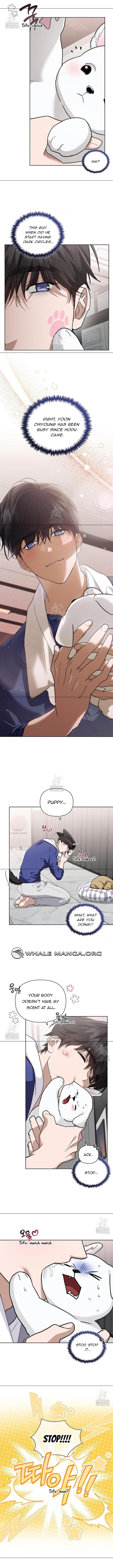 Read Don’t Mess With the Pooch! chapter 44.3 image 5 on Lezhin