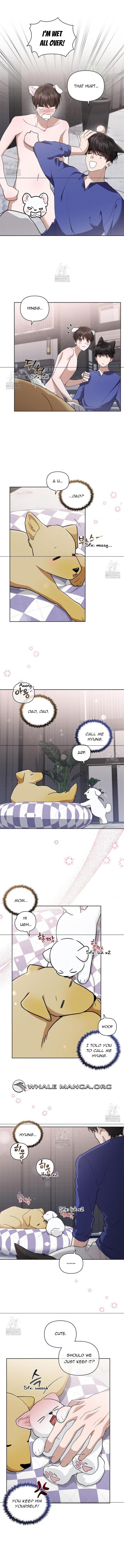 Read Don’t Mess With the Pooch! chapter 44.3 image 6 on Lezhin