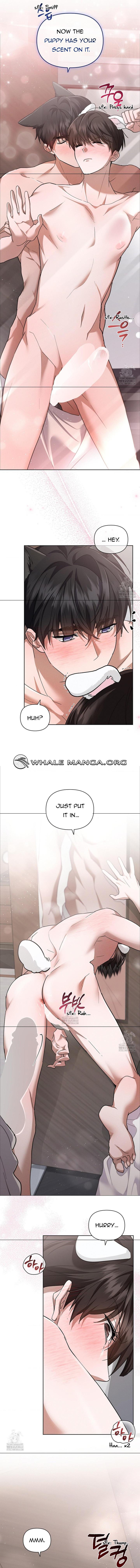 Read Don’t Mess With the Pooch! chapter 44.4 image 7 on Lezhin