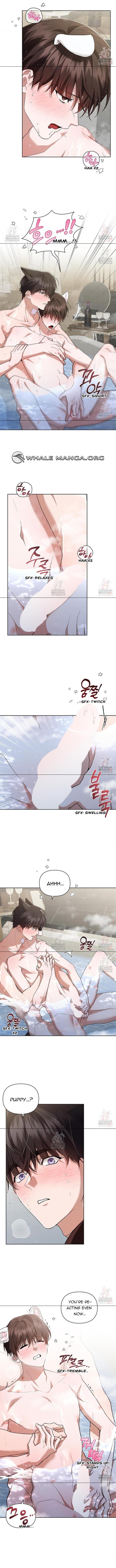 Read Don’t Mess With the Pooch! chapter 44 image 6 on Lezhin