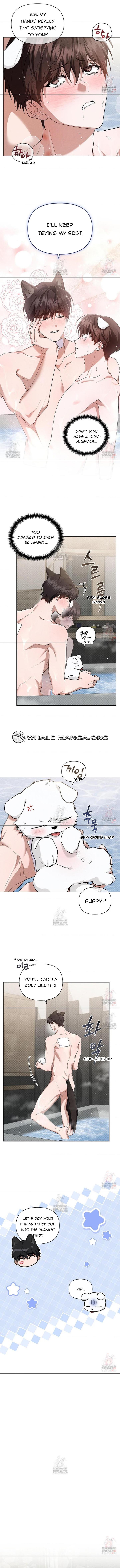 Read Don’t Mess With the Pooch! chapter 44 image 7 on Lezhin