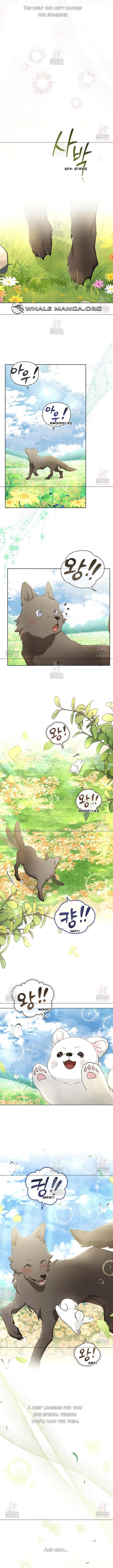 Read Don’t Mess With the Pooch! chapter 44 image 8 on Lezhin