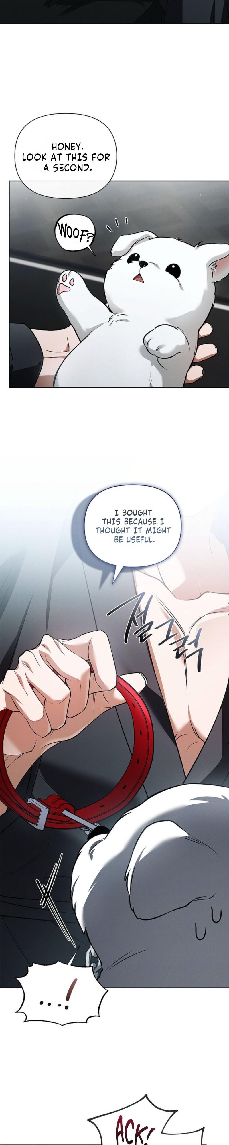 Read Don’t Mess With the Pooch! chapter 45.7 image 16 on Lezhin