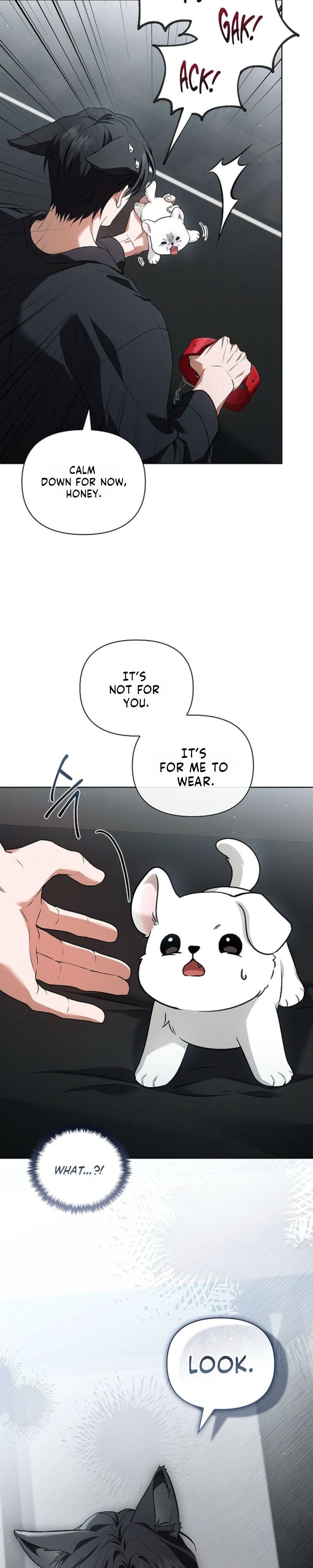 Read Don’t Mess With the Pooch! chapter 45.7 image 17 on Lezhin