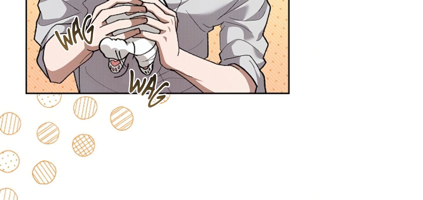 Read Don’t Mess With the Pooch! chapter 6 image 158 on Lezhin