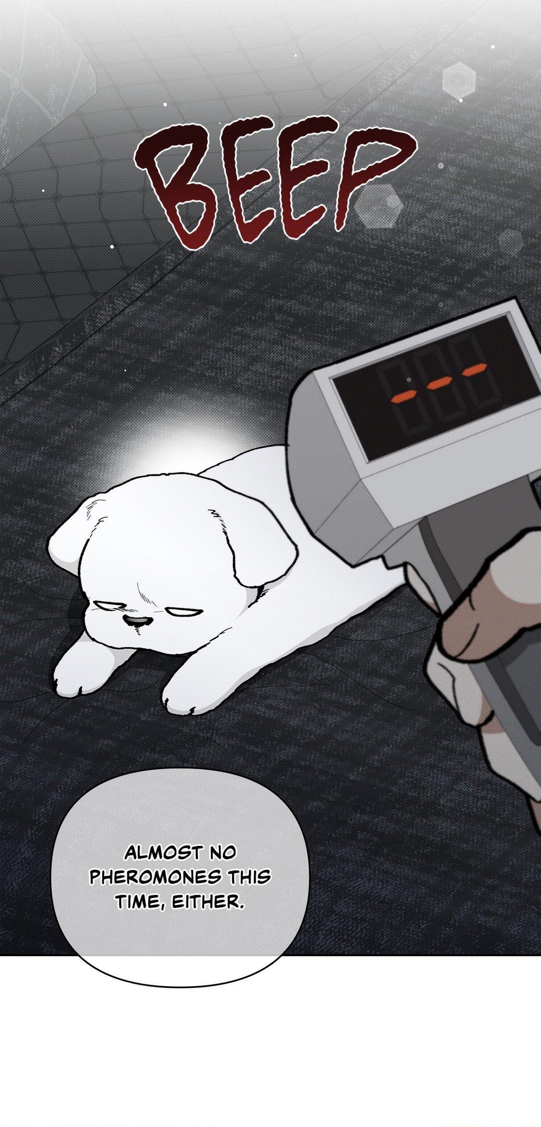 Read Don’t Mess With the Pooch! chapter 7.2 image 13 on Lezhin