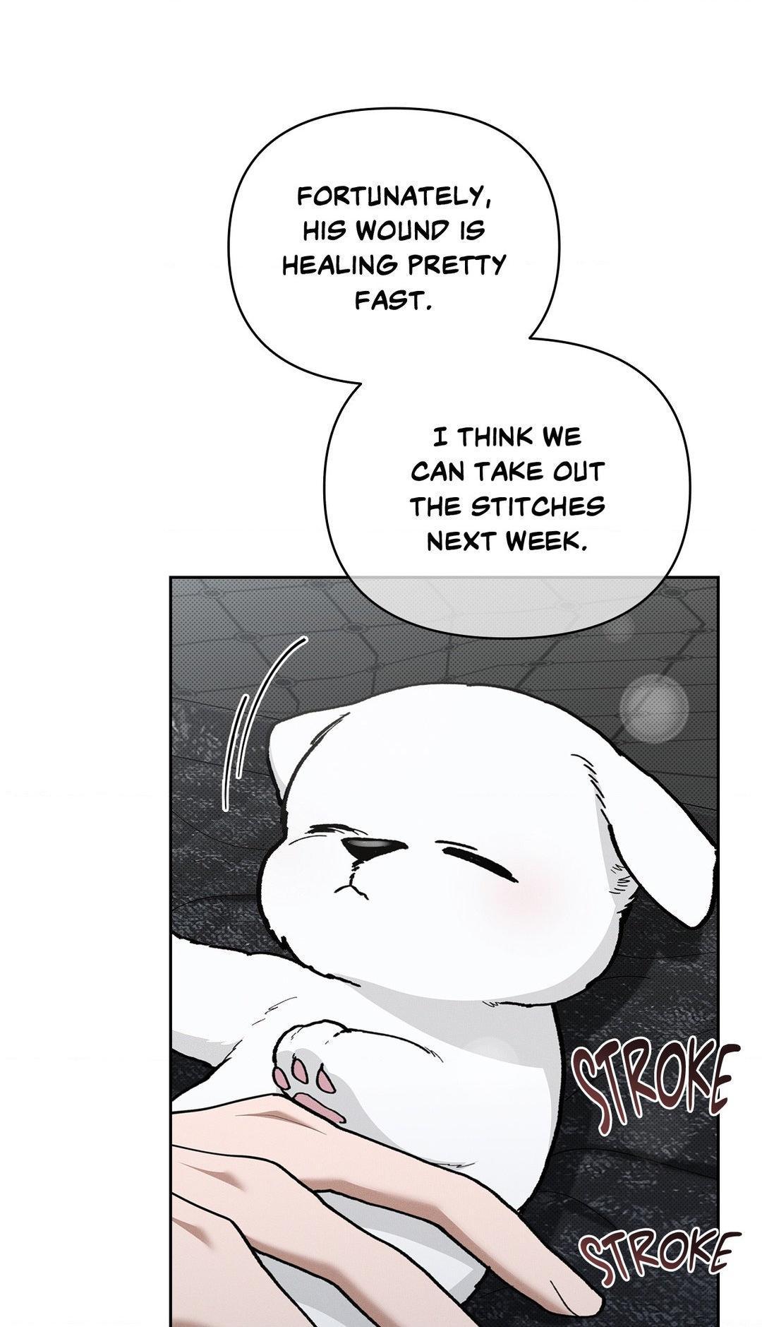 Read Don’t Mess With the Pooch! chapter 7.2 image 16 on Lezhin