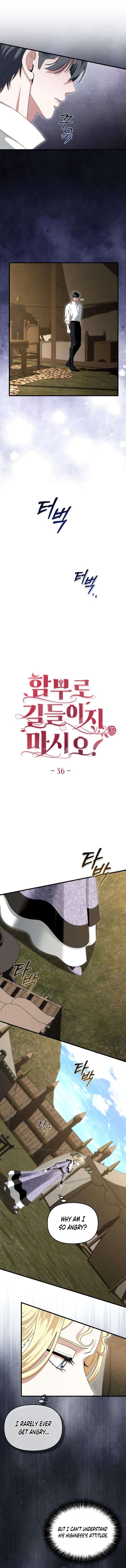 Read Don’t Tame Me Recklessly chapter 36 image 9 on Lezhin