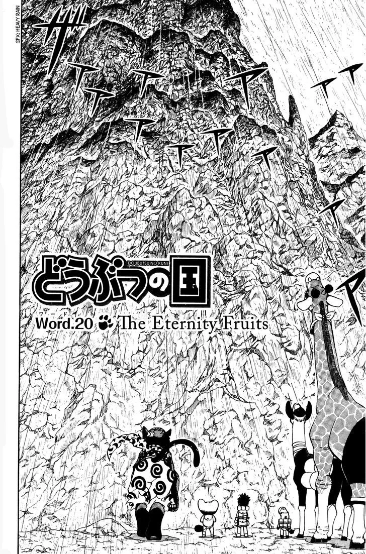 Read Doubutsu no Kuni chapter 20 image 1 on Lezhin