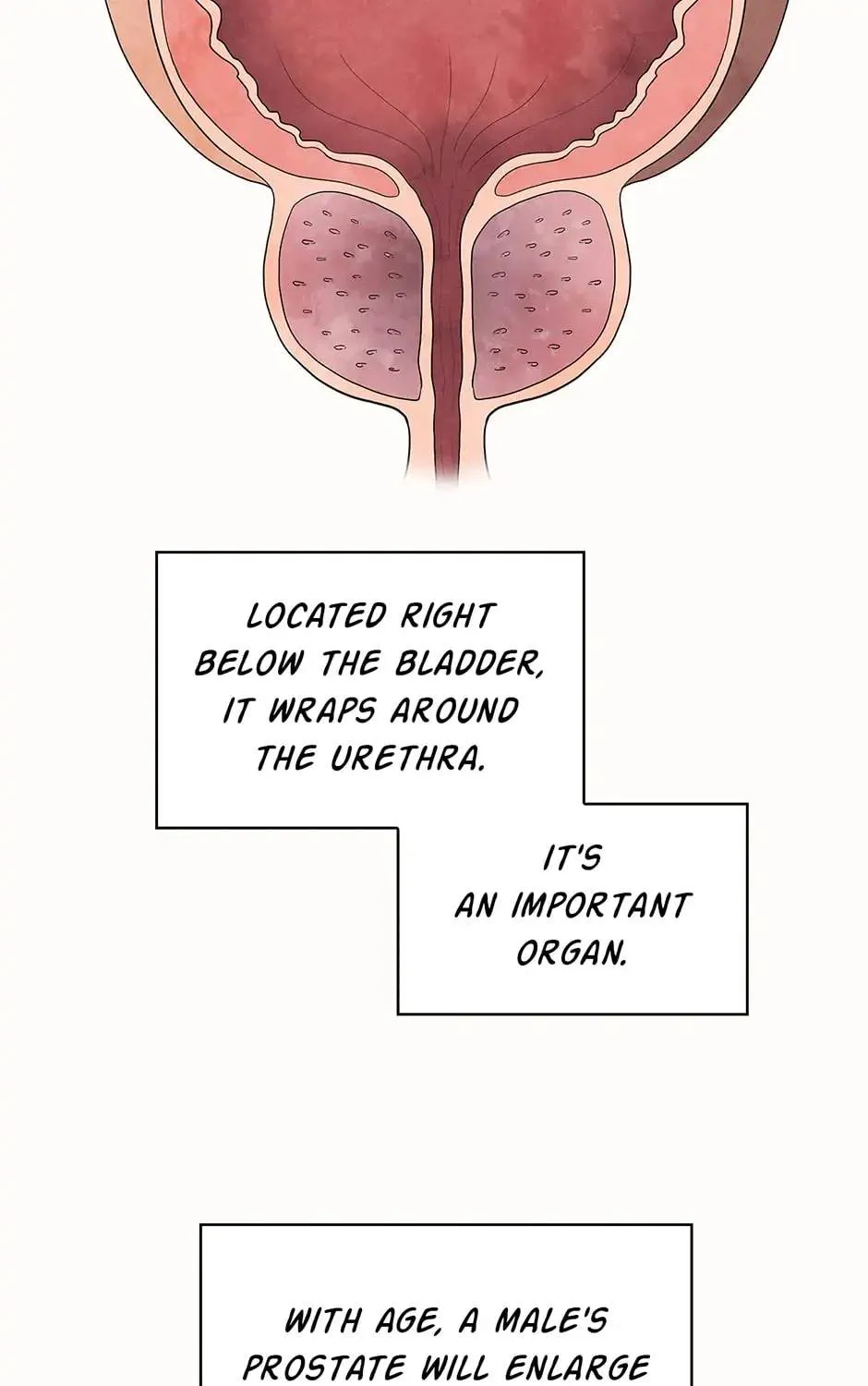 Read Dr. Choi Tae-Soo chapter 151 image 143 on Lezhin