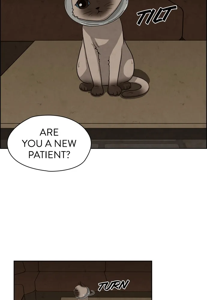 Dr. Hound Chapter 1 page 36 - 