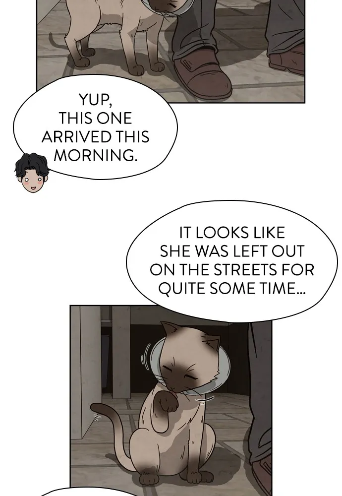 Dr. Hound Chapter 1 page 40 - 