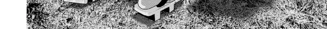 Read Dra-Q chapter 1 image 63 on Lezhin