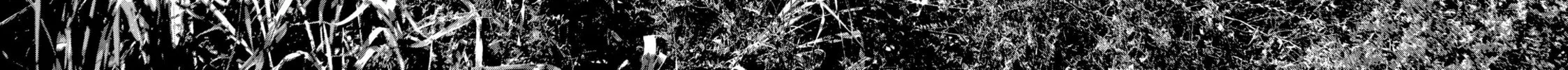 Read Dra-Q chapter 13 image 9 on Lezhin