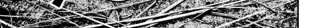 Read Dra-Q chapter 6 image 13 on Lezhin